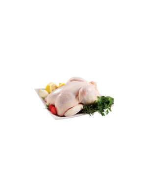 POLLO
