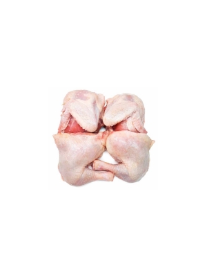 POLLO