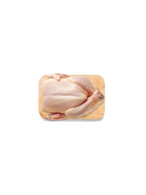 POLLO