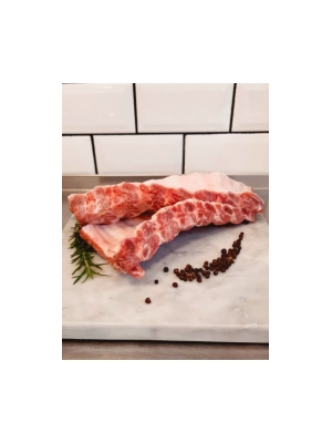 RIBS