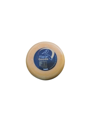 QUESO