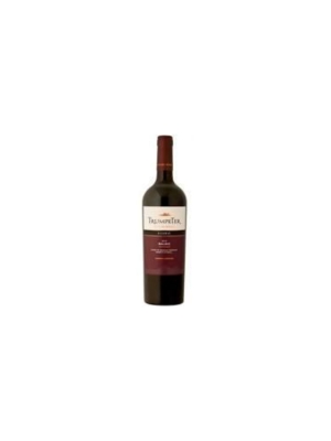 VINO