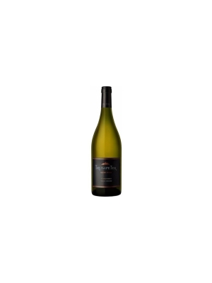 VINO